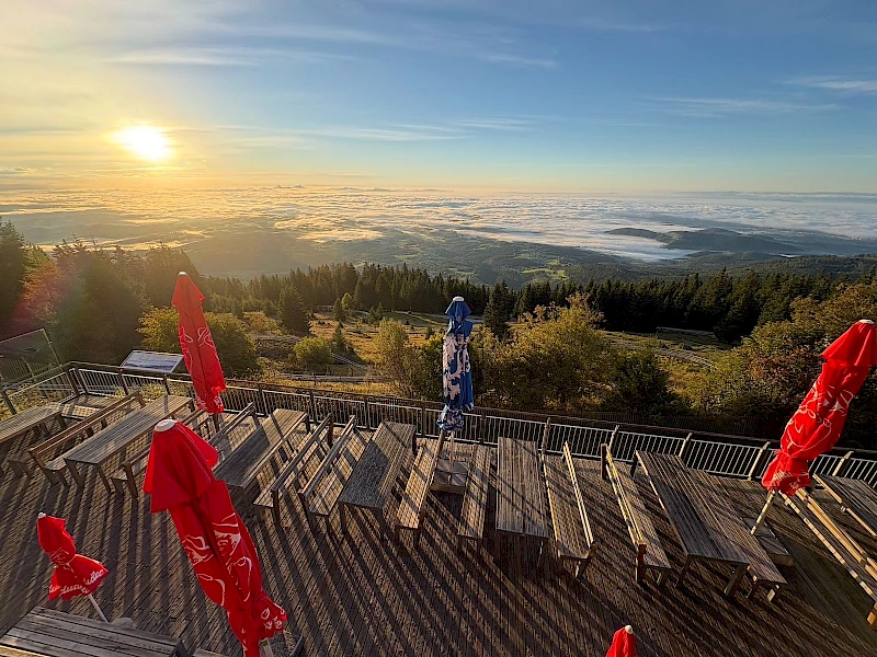 Příjezd a umístění